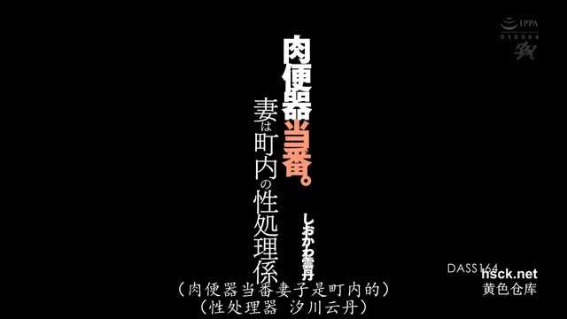 DASS-164 肉便器专门-汐川云丹详情介绍【中文字幕】-dad