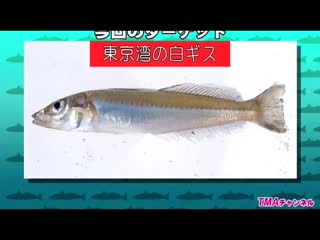 [AVOP-206]釣りバカおじさん日記 ～マドンナ初美沙希ちゃんとキス釣りチャレンジ！！